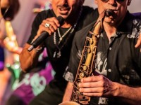 1780991446_elf-sevilla-355.jpg